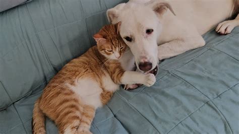 Когда на улице дождь... - YouTube