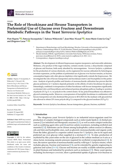 Pdf The Role Of Hexokinase And Hexose Transporters In Preferential