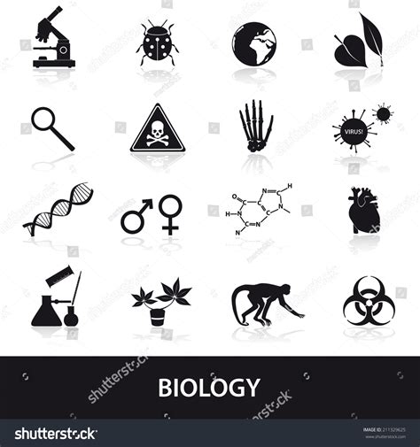 277 Ape Sexes Images, Stock Photos & Vectors | Shutterstock