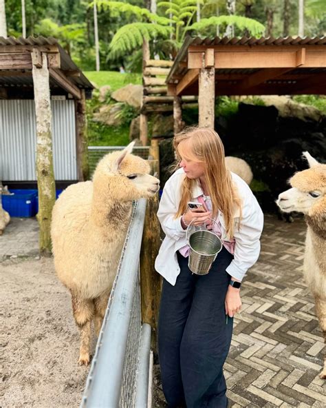 +1 в этом году к исполнению мечты