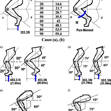 (PDF) Knee joint biomechanics in closed-kinetic-chain exercises