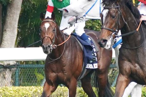 【4歳以上次走報】レーベンスティールは新潟大賞典を視野｜競馬ニュース｜競馬予想のウマニティ