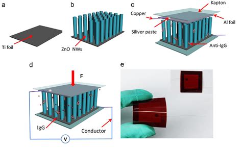 Figure From Biomolecule Adsorption Dependent Piezoelectric Output Of