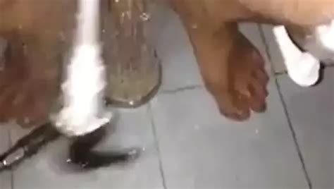 Coli Porn Videos XHamster