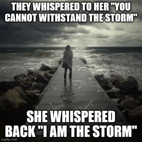 I Am The Storm Imgflip