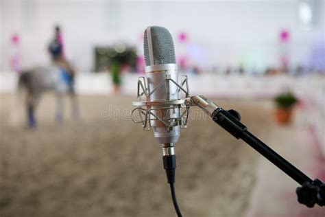 Animal Microphone Stock Photos - Download 345 Royalty Free Photos