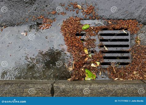 Clogged Storm Drain