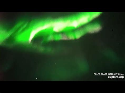 Meteors And Miss Aurora Explore Org April 23 2022 YouTube