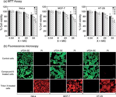 A MTT Based Cytotoxicity Assay To Determine The Cell Viability Of