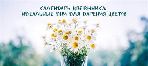 Календарь цветочника: идеальные дни для дарения цветов