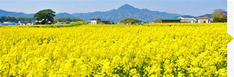 Awaji Island Tourism Guide Official