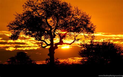 African Sunset Wallpapers - Wallpaper Cave