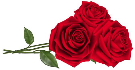 √ Rose Png Hd
