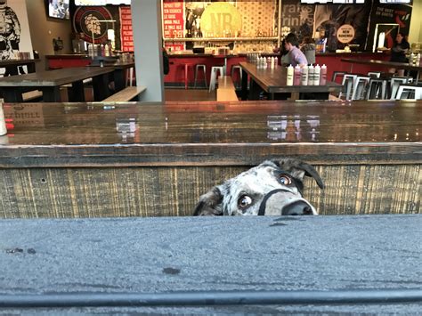 Out watching the hockey game last night, we were worried about the