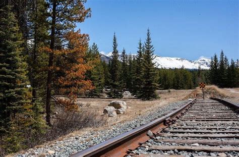 Experiencing the Rocky Mountain Railroad