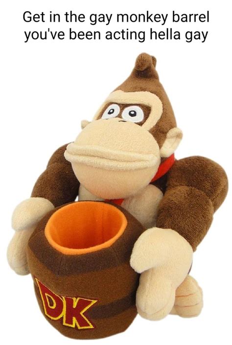 Get In The Gay Monkey Barrel You Ve Been Acting Hella Gay IFunny
