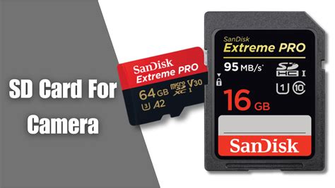 4 Best SD Cards for Camera – Tech Reath