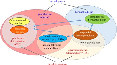 Figure 1 From Epigenetic Mechanisms In Sex Determination And In The Evolutionary Transitions