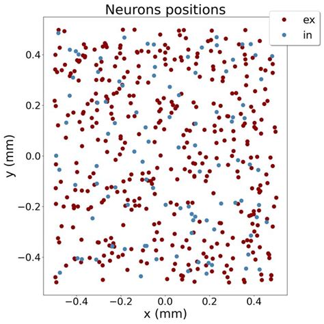 Excitatory Inhibitory Balanced Network Excitatory And Inhibitory Download Scientific Diagram