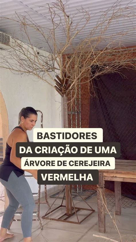 Mansao Das Orquideas On Instagram Bastidores Da Cria O De Rvore De