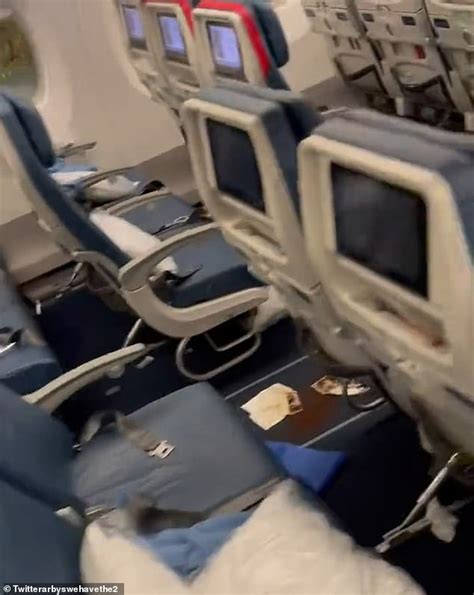 Delta Flight Forced Into Emergency Landing By Passengers Diarrhea