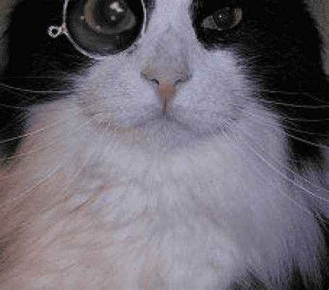 Lorigine du mot anglais fuck remonte au Moyen Âge Slate fr