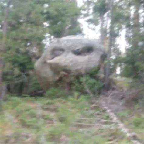 Zipper American Panties Homemade Porn XHamster