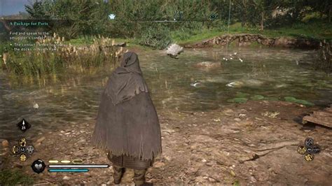 Assassin S Creed Valhalla European Pond Turtle Locations Hold To Reset