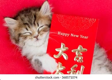 Im Genes De Real Vagina Im Genes Fotos Y Vectores De Stock Shutterstock