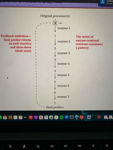 Biochemistry Chapter 7 Flashcards Quizlet