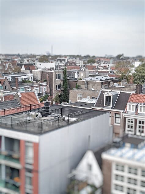 Impressions — Blender Conference 2022