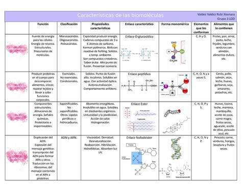 Biomol Culas Cuadro Comparativo Cuadro