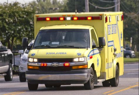 ΣΟΚ – Πατέρας 46 χρονων έχασε το πόδι του από δάγκωμα…