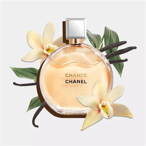 13 Best Chocolate Perfumes 2023 Cocoa And Chocolate Fragrances
