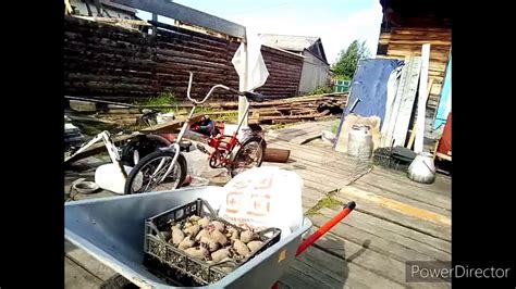 Черный 🦃 уехал в другое хозяйство/ У Семена теперь две самки - YouTube