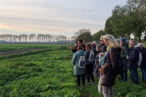 Winterwandeling Buijtenland Van Rhoon