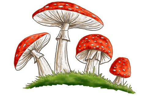 Mushroom Drawing