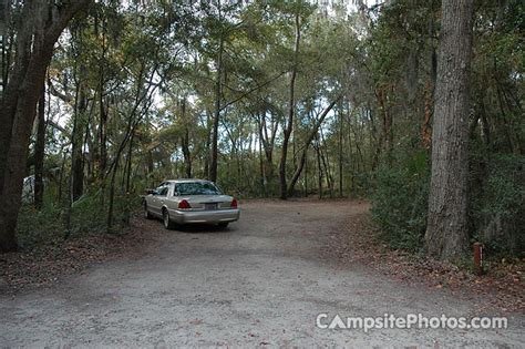 Edisto Beach State Park - Campsite Photos, Reservations & Info