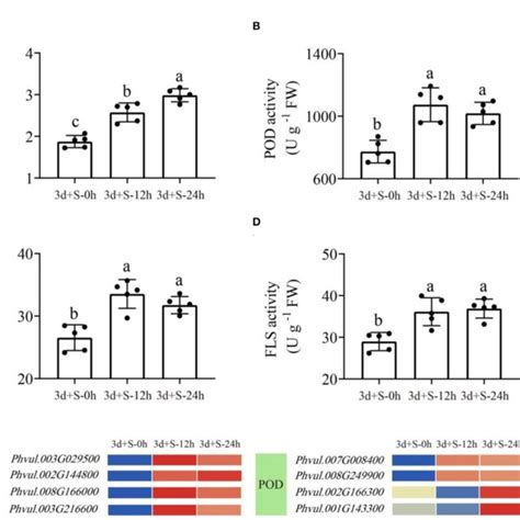 Figure The Enzyme Activities In The Enriched Pathways At Three Time