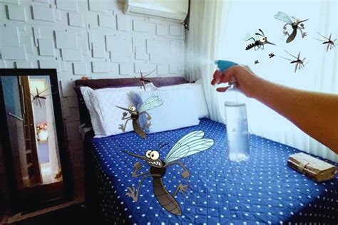 Como Espantar Pernilongos De Casa - Como espantar pernilongos da sua casa: é só burrifar e não fica um