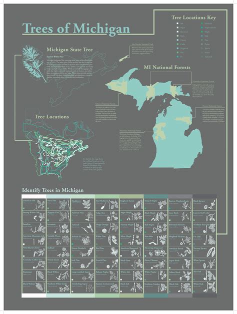 Trees of Michigan Info. Graphic on Behance