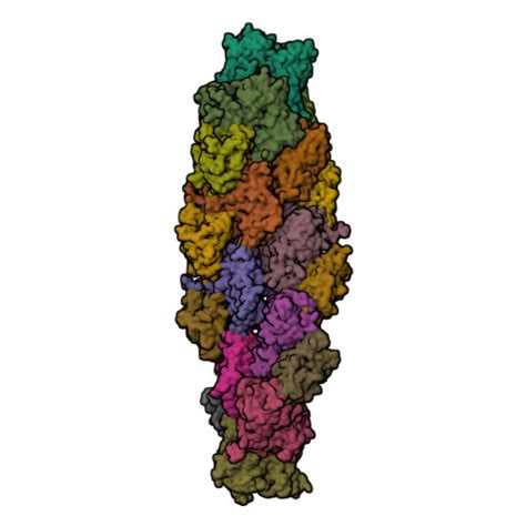 RCSB PDB 7U8K Magic Angle Spinning NMR Structure Of Human Cofilin 2