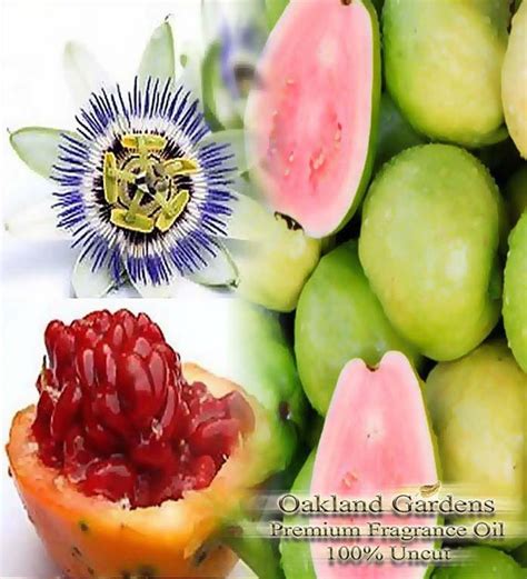 1 Oz 30ml X PASSIONFRUIT GUAVA Fragrance Oil Essential Oil Etsy