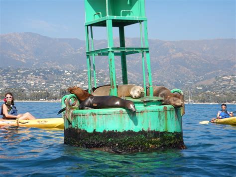 Green Buoy With Kayakers C F C Df C B A B C F