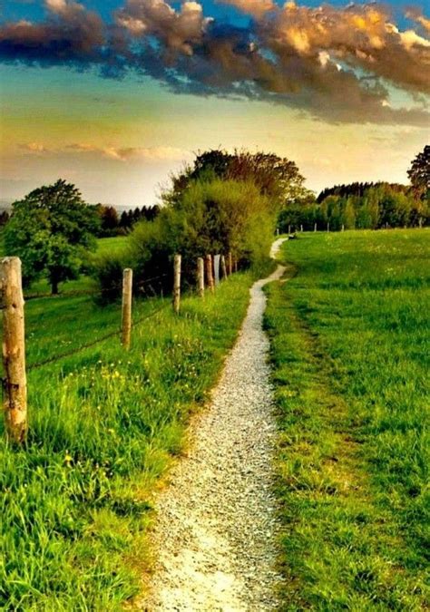 A Dirt Road Going Through A Lush Green Field