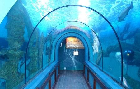 National Marine Aquarium Of Namibia, Swakopmund | Reviews | Ticket ...