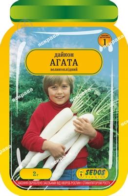 ᐉ Семена Яскрава редис Дайкон Агата 2 г (4823069800192) • Купить в ...