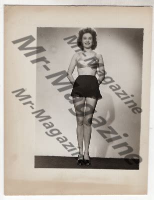 Brunette Lingerie Model X Photo Vintage Sexy Cheesecake Risqu Pinup Qo Ebay