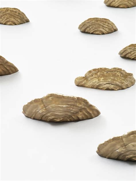 Erin Sullivan Bronze Mushroom Shelves Usa 2015 Todd Merrill Studio