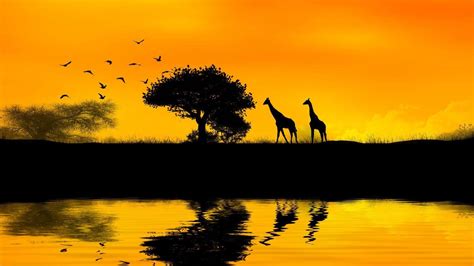 Africa Wallpapers - Top Free Africa Backgrounds - WallpaperAccess